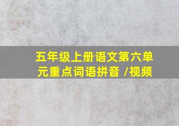 五年级上册语文第六单元重点词语拼音 /视频